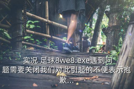 實(shí)況足球8 win8