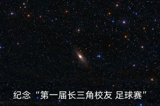 沈陽(yáng)足球教練王成