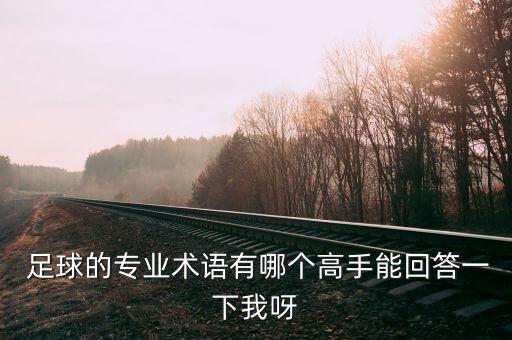  足球的專業(yè)術(shù)語有哪個(gè)高手能回答一下我呀