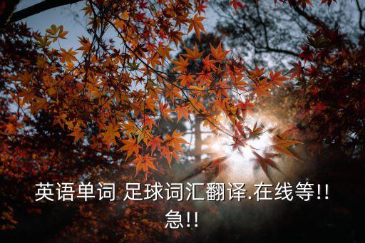 英語單詞 足球詞匯翻譯.在線等!!急!!