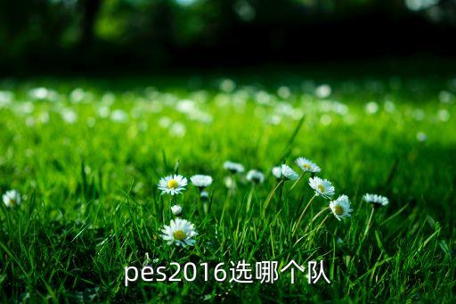 pes2016選哪個(gè)隊(duì)