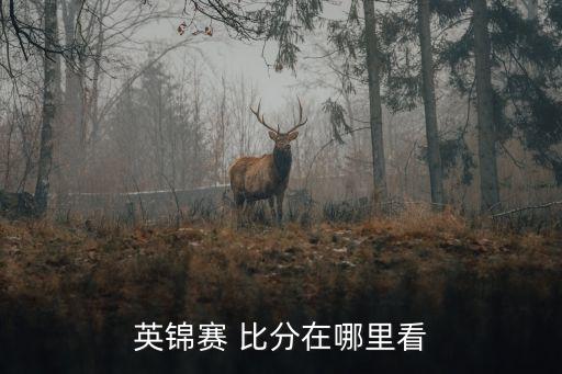 足球比分網(wǎng)哪家好,手機足球比分即時網(wǎng)