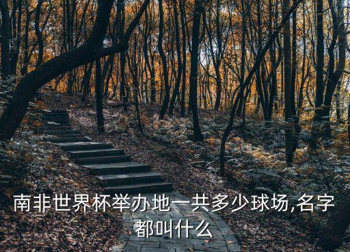 足球城是什么城市,中國(guó)幾個(gè)稱為足球城的城市