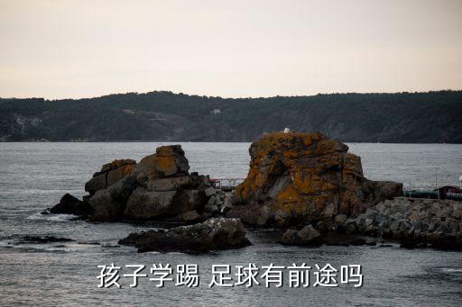 秦皇島兒童足球訓(xùn)練營,濟(jì)南兒童足球訓(xùn)練營