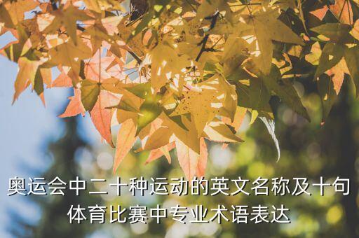 奧運(yùn)會(huì)中二十種運(yùn)動(dòng)的英文名稱(chēng)及十句體育比賽中專(zhuān)業(yè)術(shù)語(yǔ)表達(dá)