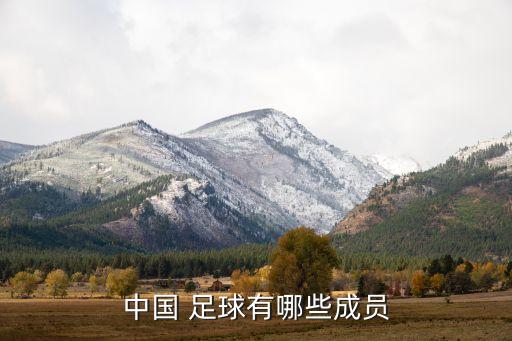 中國(guó) 足球有哪些成員