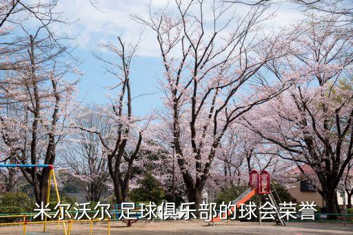 米爾沃爾 足球俱樂部的球會(huì)榮譽(yù)