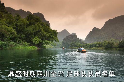 鼎盛時期四川全興 足球隊(duì)隊(duì)員名單