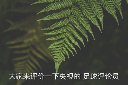 大家來評價一下央視的 足球評論員