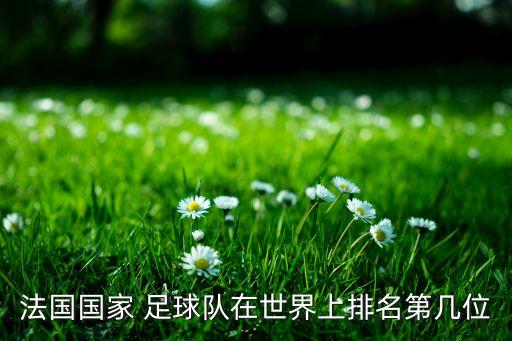 法國(guó)國(guó)家 足球隊(duì)在世界上排名第幾位
