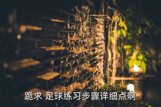 足球鍛煉教學,足球的特點以及鍛煉價值