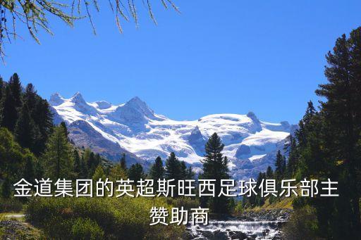 金道集團的英超斯旺西足球俱樂部主 贊助商