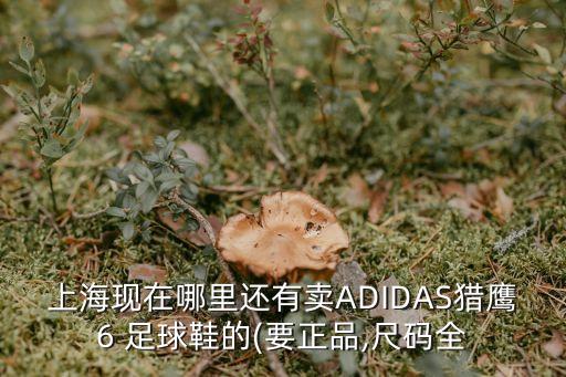 上海現(xiàn)在哪里還有賣ADIDAS獵鷹6 足球鞋的(要正品,尺碼全