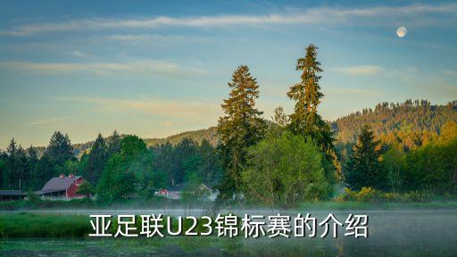 u23亞洲足球各隊(duì)實(shí)力,亞洲足球u23排名 國家