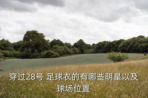 穿過(guò)28號(hào) 足球衣的有哪些明星以及球場(chǎng)位置