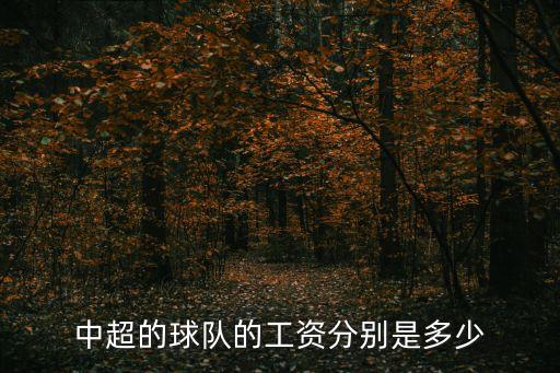 中超的球隊的工資分別是多少