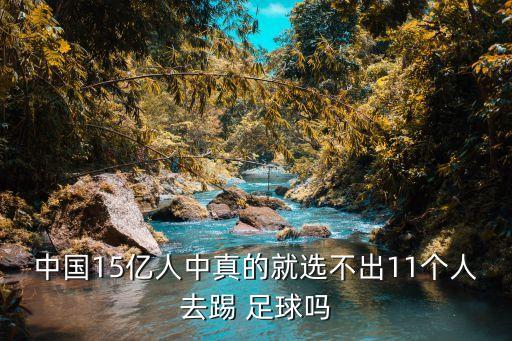 中國踢足球的有多少人,在中國踢足球要多少錢