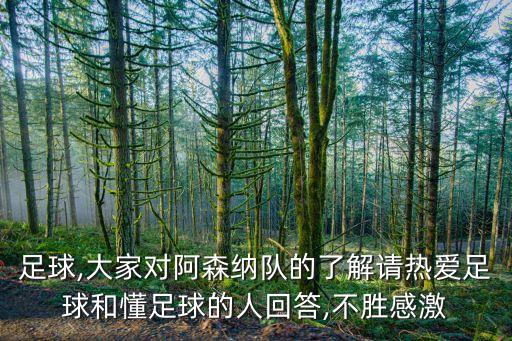 足球,大家對(duì)阿森納隊(duì)的了解請(qǐng)熱愛足球和懂足球的人回答,不勝感激