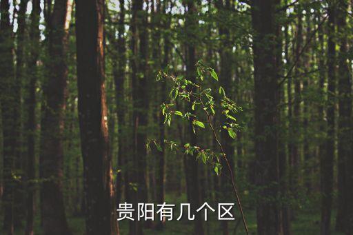 金陽縣足球,四川省金陽縣天氣預(yù)報(bào)