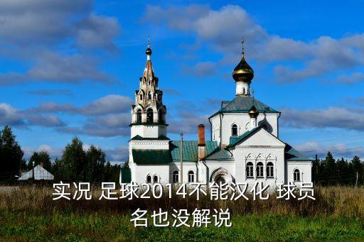 實況足球2014球員名字