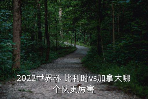 2022世界杯 比利時(shí)vs加拿大哪個(gè)隊(duì)更厲害