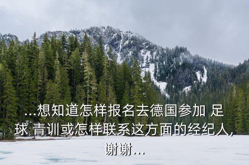 ...想知道怎樣報(bào)名去德國參加 足球 青訓(xùn)或怎樣聯(lián)系這方面的經(jīng)紀(jì)人,謝謝...