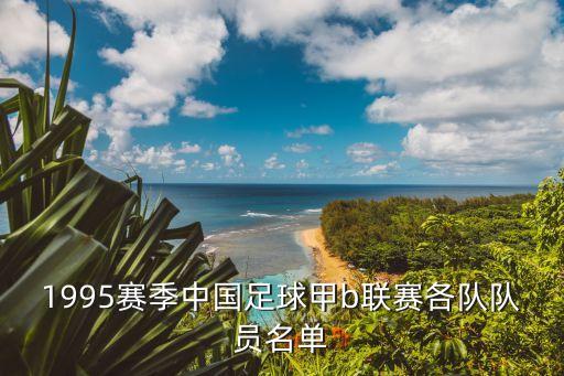 1995賽季中國足球甲b聯(lián)賽各隊隊員名單
