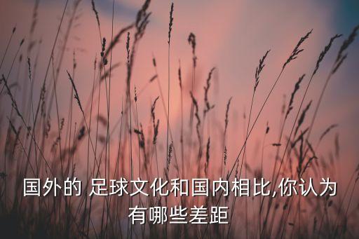 國外的 足球文化和國內(nèi)相比,你認(rèn)為有哪些差距