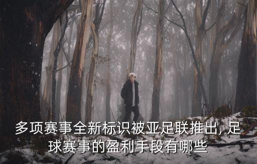 多項賽事全新標(biāo)識被亞足聯(lián)推出, 足球賽事的盈利手段有哪些
