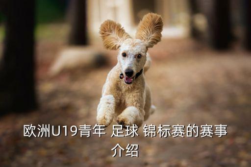 足球錦標(biāo)賽加時