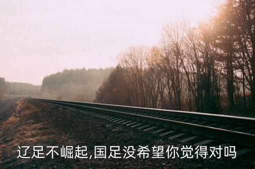 天津左樹(shù)生足球隊(duì)