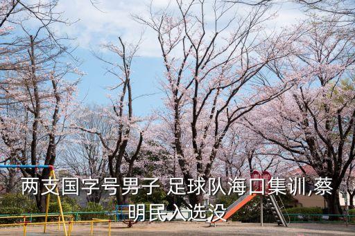 兩支國(guó)字號(hào)男子 足球隊(duì)?？诩?xùn),蔡明民入選沒(méi)