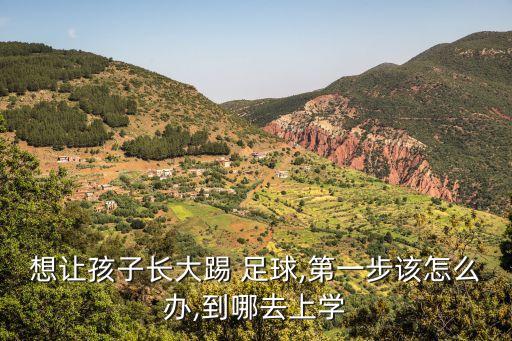 想讓孩子長大踢 足球,第一步該怎么辦,到哪去上學