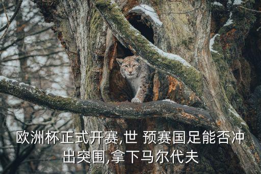 歐洲杯正式開(kāi)賽,世 預(yù)賽國(guó)足能否沖出突圍,拿下馬爾代夫