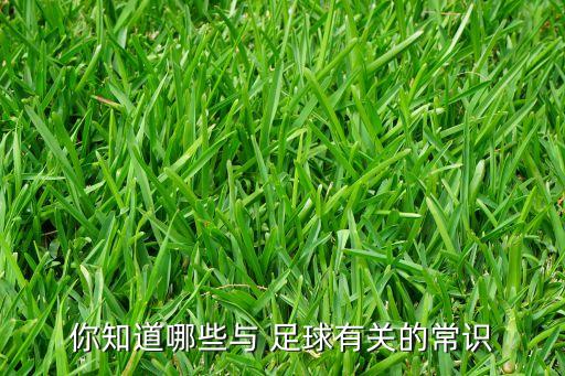 你知道哪些與 足球有關(guān)的常識