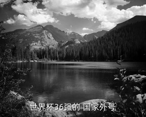 足球沙漠之狐是哪個國家,沙漠之狐是哪個足球國家隊(duì)