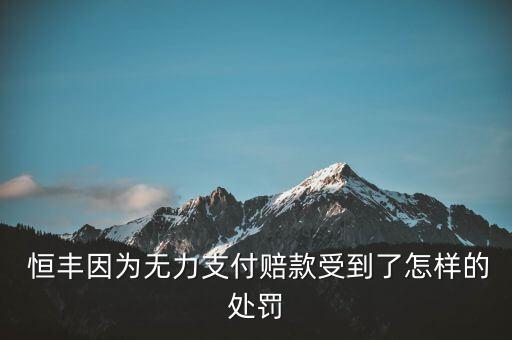  恒豐因?yàn)闊o(wú)力支付賠款受到了怎樣的處罰