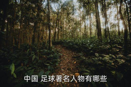中國(guó)足球十大前鋒