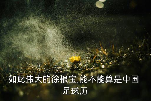 萬達(dá)足球吧,98年萬達(dá)為什么退出足球