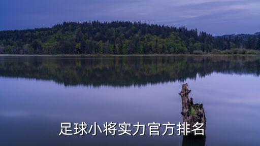  足球小將實力官方排名