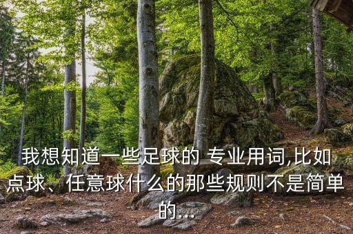 我想知道一些足球的 專業(yè)用詞,比如點球、任意球什么的那些規(guī)則不是簡單的...