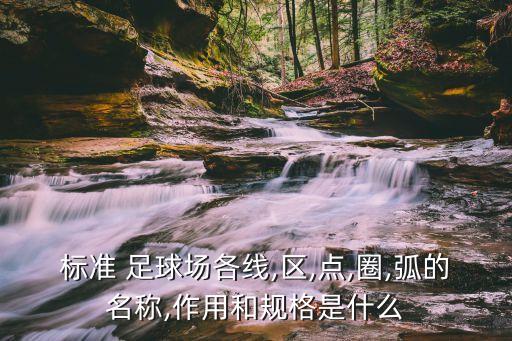 標(biāo)準(zhǔn) 足球場各線,區(qū),點(diǎn),圈,弧的名稱,作用和規(guī)格是什么