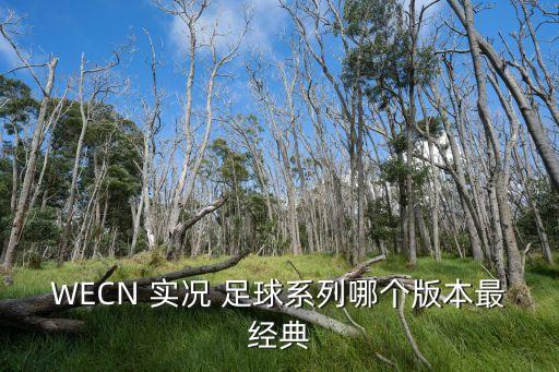 WECN 實況 足球系列哪個版本最經(jīng)典