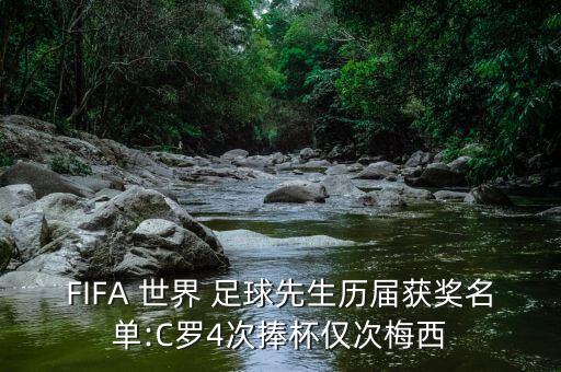 世界足球先生中國(guó)選票,2022世界足球先生選票