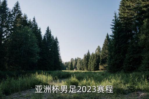 足球八強賽
