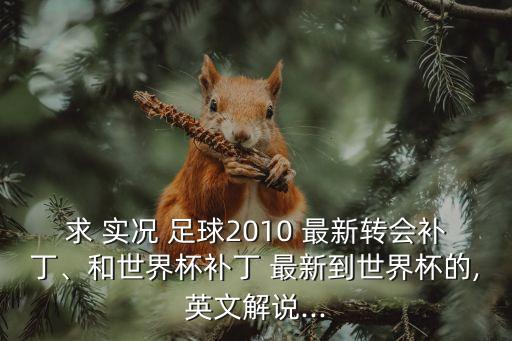 求 實(shí)況 足球2010 最新轉(zhuǎn)會(huì)補(bǔ)丁、和世界杯補(bǔ)丁 最新到世界杯的,英文解說(shuō)...