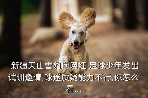  新疆天山雪豹向網(wǎng)紅 足球少年發(fā)出試訓(xùn)邀請(qǐng),球迷質(zhì)疑能力不行,你怎么看...