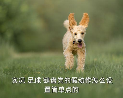  實(shí)況 足球 鍵盤(pán)黨的假動(dòng)作怎么設(shè)置簡(jiǎn)單點(diǎn)的
