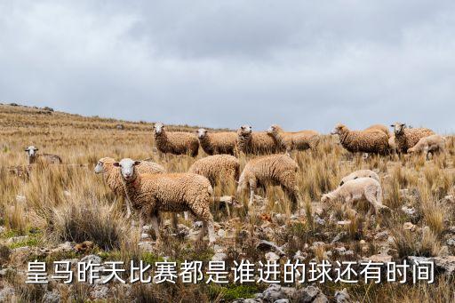  皇馬昨天比賽都是誰進(jìn)的球還有時間