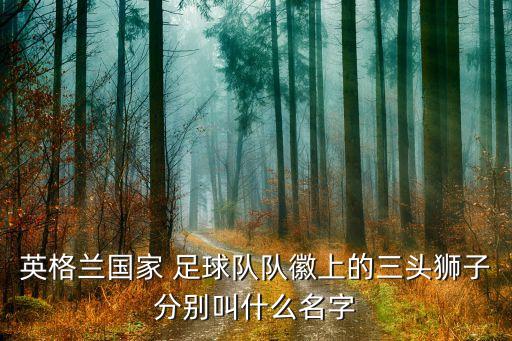英格蘭國家 足球隊隊徽上的三頭獅子分別叫什么名字